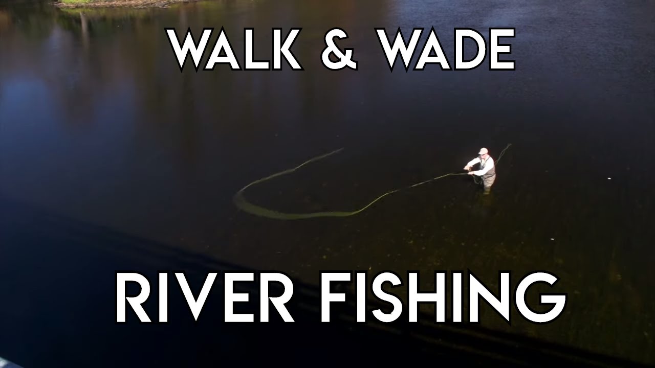 Walk & Wade River Smallmouth Bass - The New Fly Fisher