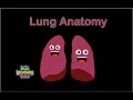Exploring Lung Anatomy Through Song