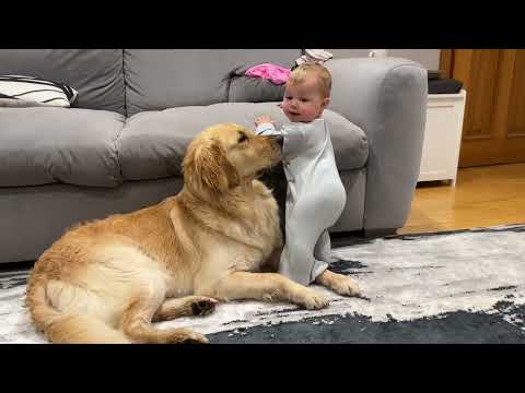 Adorable Baby Boy Loves His Golden Retriever Pup! (Cutest Ever!!)