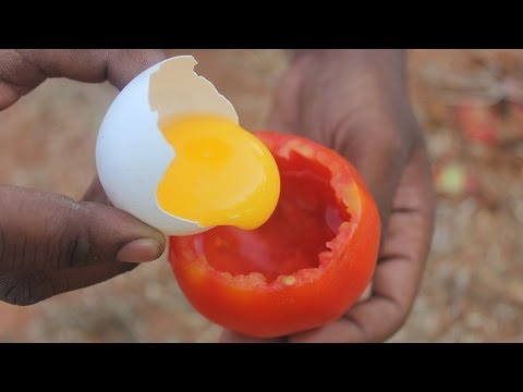 Tomato OMELET Prepared by my Daddy / Village food factory
