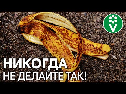 Не используйте банановую кожуру в огороде не досмотрев этот ролик до конца