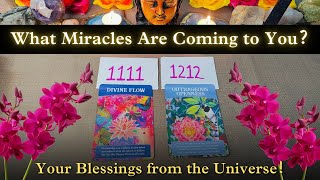 🔮 What Blessings Are Coming Your Way? 🌈 Pick a Card | Abundance & Miracles Await (Timeless Tarot)