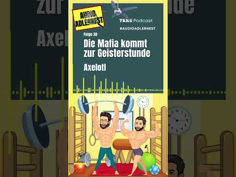 Axelotl - TKKG Folge 30 "Die Mafia kommt zur Geisterstunde"