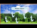 Exploring the Water Cycle Components