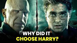 Why Voldemort Never Became the Master of the Elder Wand?