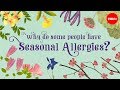 Understanding Seasonal Allergies