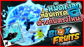 Sharkman Karate ที่อัพเกรดต่างกันยังไง - 🌊Blox Fruit