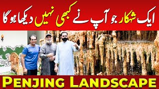 Penjing Landscape - A Masterpiece You Have Never Seen Before | Shahzad Basra