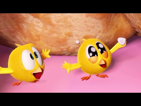 Where's Chicky? 🐥 Chicky's favorite sweet treat 🧁 A Xilam Series | Xilam TV