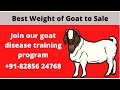 Goat Farming Knowledge Assessment