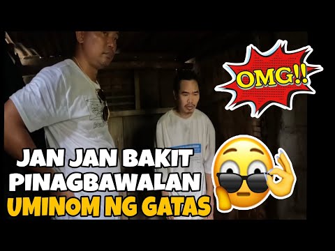 ⭕JAN JAN PINAGBAWALAN DAW NG GATAS, TOTOO BANG BAWAL GATAS? TRENDING