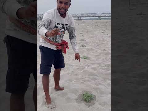 নদীর মাঝখানে এতো বড়ো গর্ত কেনো করলাম