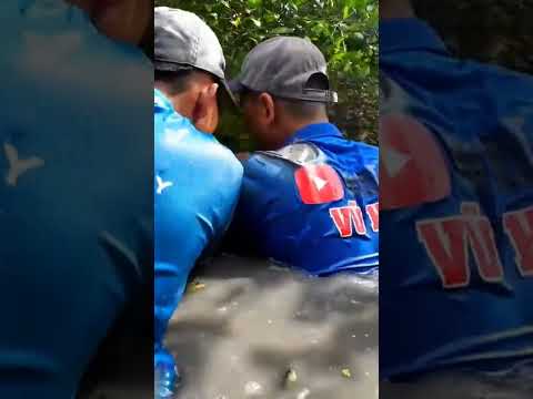 con gì đó,,cười xỉu