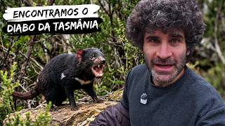 Exploramos a Tasmânia até encontrar o Taz da vida real