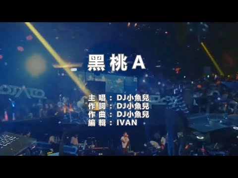 DJ小魚兒 黑桃A   KTV (左伴右唱)