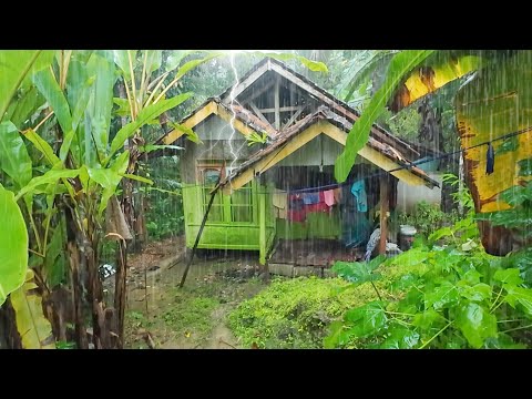 SUASANA PAGI YANG TENANG, TURUN HUJAN DAN KABUT DI KAMPUNG NAMBAH BETAH, PEDESAAN SUNDA JAWA BARAT