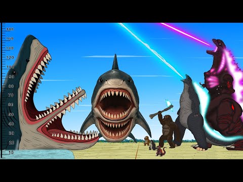 If GODZILLA & KONG vs Evolution of SHARK - Story of Transformation | Godzilla & SHARK Cartoon Movies