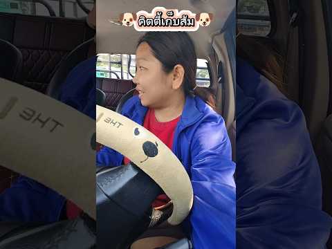 🐶หมาคิตตี้เก็บส้ม #funny #comedy #บังเอิญเจอ #การแสดงเท่านั้น