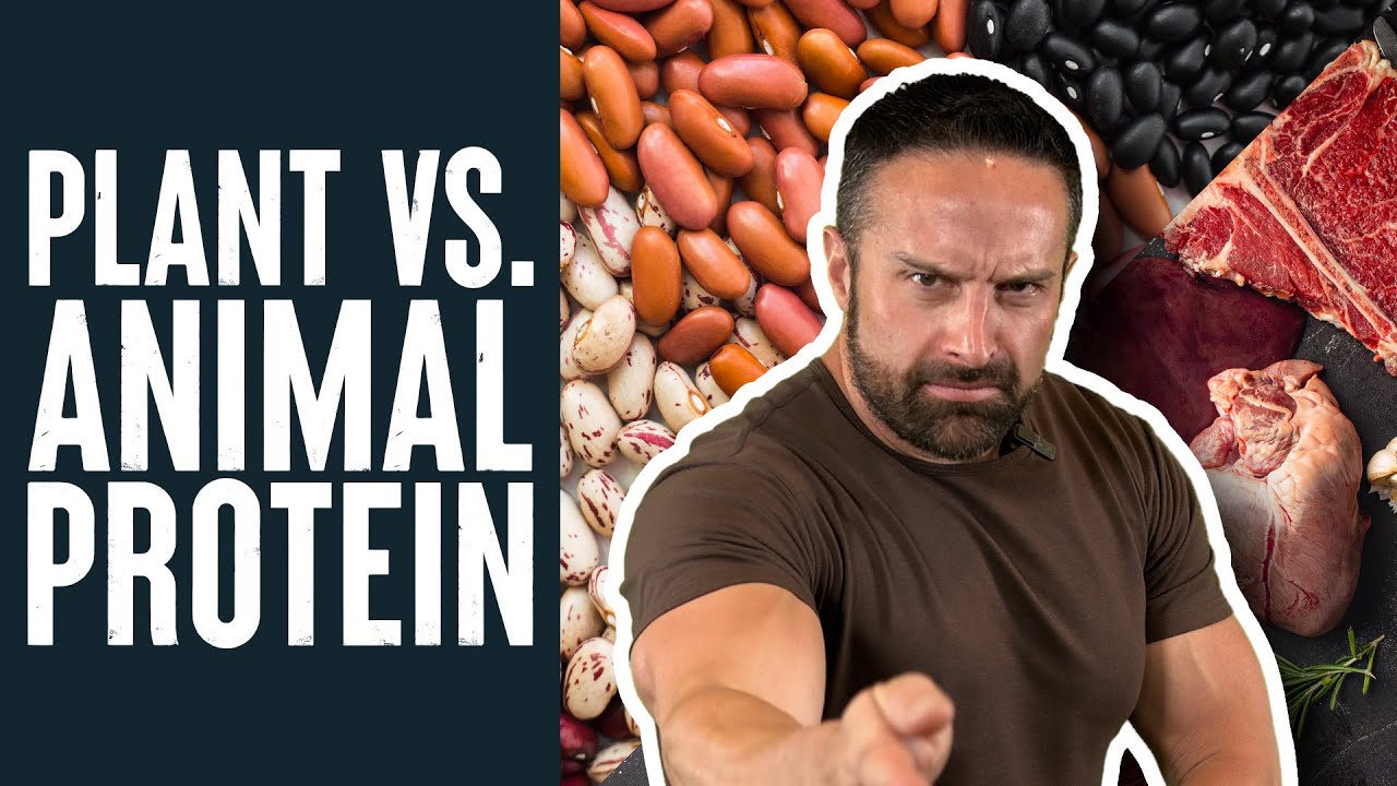Animal Protein Beats Plant Protein for Building Muscle | Educational  Video | Layne Norton PhD