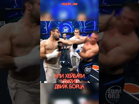 АЛИ ХЕЙБАТИ УДАРИЛ БЛОГЕРА «ДВИЖ БОРЦА» #shorts #popmma