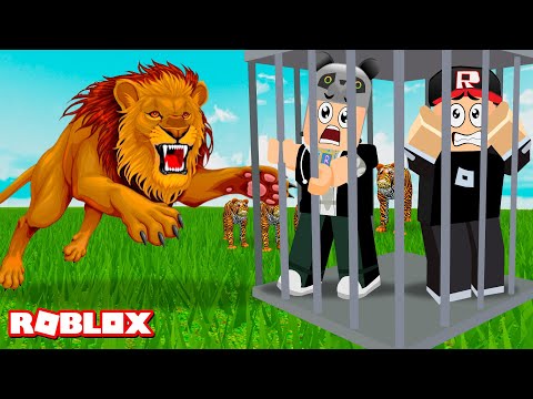 Aslanlara Yem Oluyoruz!! Hayvanat Bahçesinden Kaç - Panda ile Roblox Escape The Zoo Obby