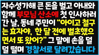 (신청사연) 자수성가해 큰 돈을 벌고 아내와 함께 부모님 산소에 첫 인사하러 간 날, 동네주민이 "아이고 철구는 효자야, 한 달 [사이다사연][감동사연][라디오 드라마][오디오북]