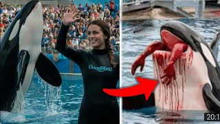 Top 10 des attaques les plus m€urtr;ères de requins et de baleines contre des bateaux !
