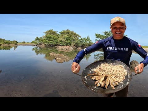 TAINHA FRITA no DISCO de ARRADO e FEIJÃO VERDE - PESCANDO E PREPARANDO NA HORA !