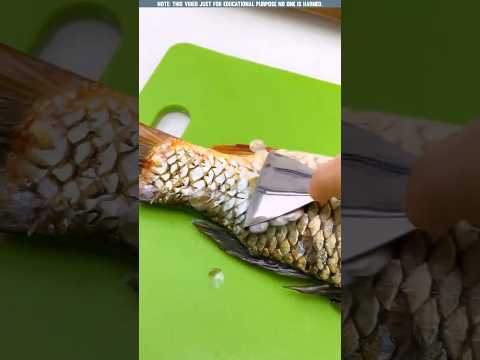 Tools Items! New Viral Gedgets, Smart Appliances, Kitchen Utensils/Home Inventions #shorts
