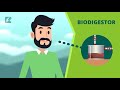 Biodigestores e Energia a partir de Lixo