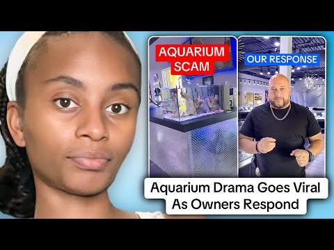 TikTok Aquarium Drama Goes Viral As Owners Respond