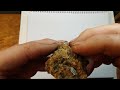 Sedimentary Rock Quiz