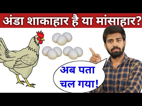 अंडा शाकाहार है या मांसाहार? | Is Egg Veg Or Non-Veg | Ab Confirm Ho Gaya