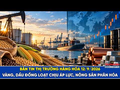 Bản tin thị trường hàng hóa ngày 12/9/2026: Vàng, dầu đồng loạt chịu áp lực, nông sản phân hóa