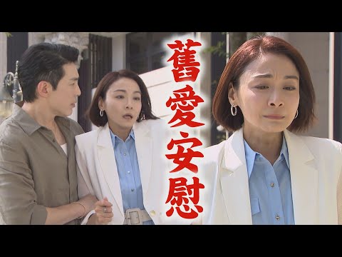 【願望】EP254 愛倫警告"要注意廷偉" 麗紅終於發現被綠惹...巧遇勝強剛好被安慰｜完全娛樂