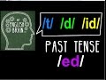 Mastering Past Tense (ed) Pronunciation