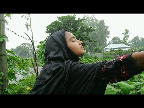 Rain bring new life to nature  বৃষ্টিতে ভিজার আসল মজা গ্রামেই পাওয়া যায় | Village life with Shampa