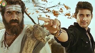 மவனே போட்டா எப்படி இருக்கும்ன்னு காட்டுறேன்டா... | Bhadra Movie Compilation | Mahesh Babu | Anushka