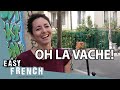 Expressions Idiomatiques Françaises