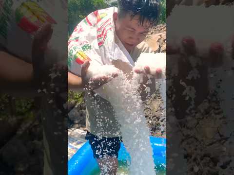 Bao nhiêu muối để tạo ra biển chết