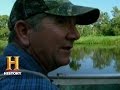 Alligator Season Insights and Experiences