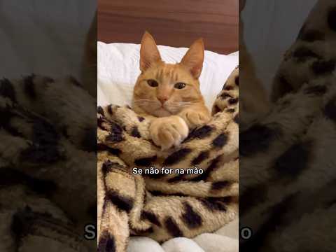 VOCÊ TEM UM PET MIMADO?
