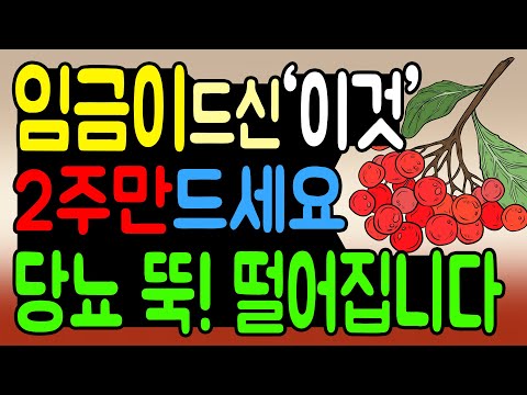 당뇨병 관리, 임금님도 드신 '이것' 2주만 드세요! 혈당이 뚝~ 떨어집니다. 당뇨 극복을 위한 혈당 관리방법