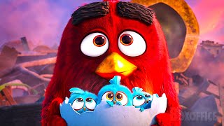 The Angry Birds rescue the EGGS | The Angry Birds Movie 🔥 4K