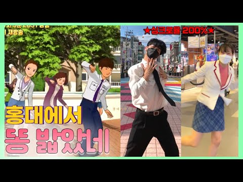 홍대 길거리에서 ‘똥밟았네’ 노래에 댄스 챌린지 #포텐독 #똥밟았네 #shorts