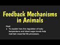 Human Body Temperature Regulation and Functions