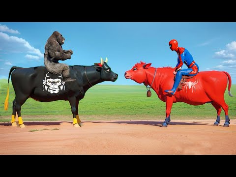 Superhero Cow vs Spider Gorilla Game Funny Spiderman Animals Rescue Cow challenge Shark GTA 5
