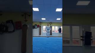 Shotokan Kata Unsu