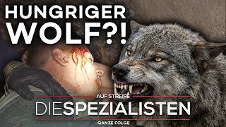 "ER WURDE ANGEGRIFFEN!" Freundin findet Partner nach brutaler Wolfs-Attacke! | Die Spezialisten