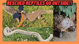 RESCUED SNAKE FIRST TIME OUTSIDE! LIZARD ISNT SCARED ANYMORE! TURTLE FOLLOWS HER NAME! REPTILE!